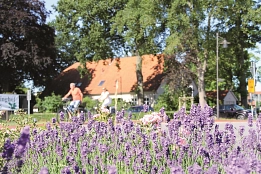 Impressionen Neuenkirchen-Vörden&nbsp;&copy;&nbsp;Zwayer