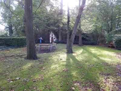 Hexenwald (1).JPG