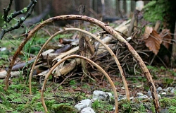 Hauptbild