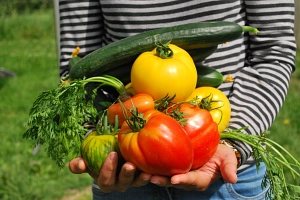 Pixabay vegetables-742095_1920.jpg